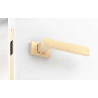 Klamka Focus mosiądz matowy na rozecie prostokątnej Corona